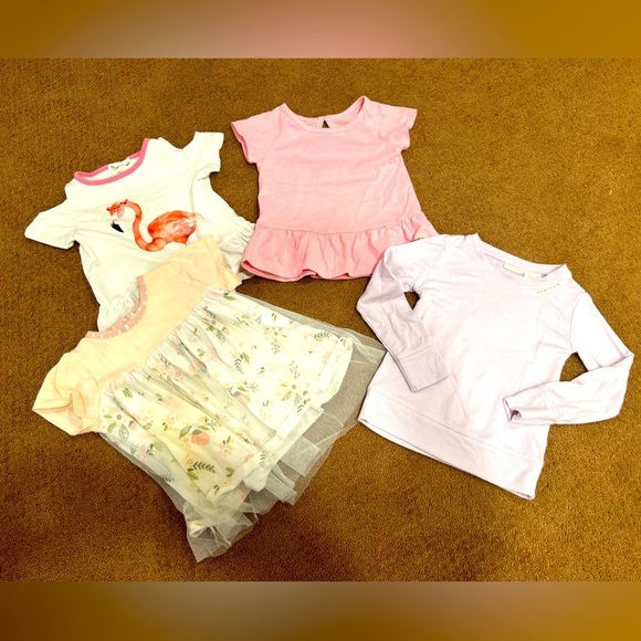 Bundle of 4 Girls Tops Floral Babydoll Hudson Flamingo Size 2T/3T - Picture 1 of 9